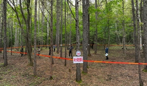 競賽現(xiàn)場。圖片來源：國家林業(yè)和草原局