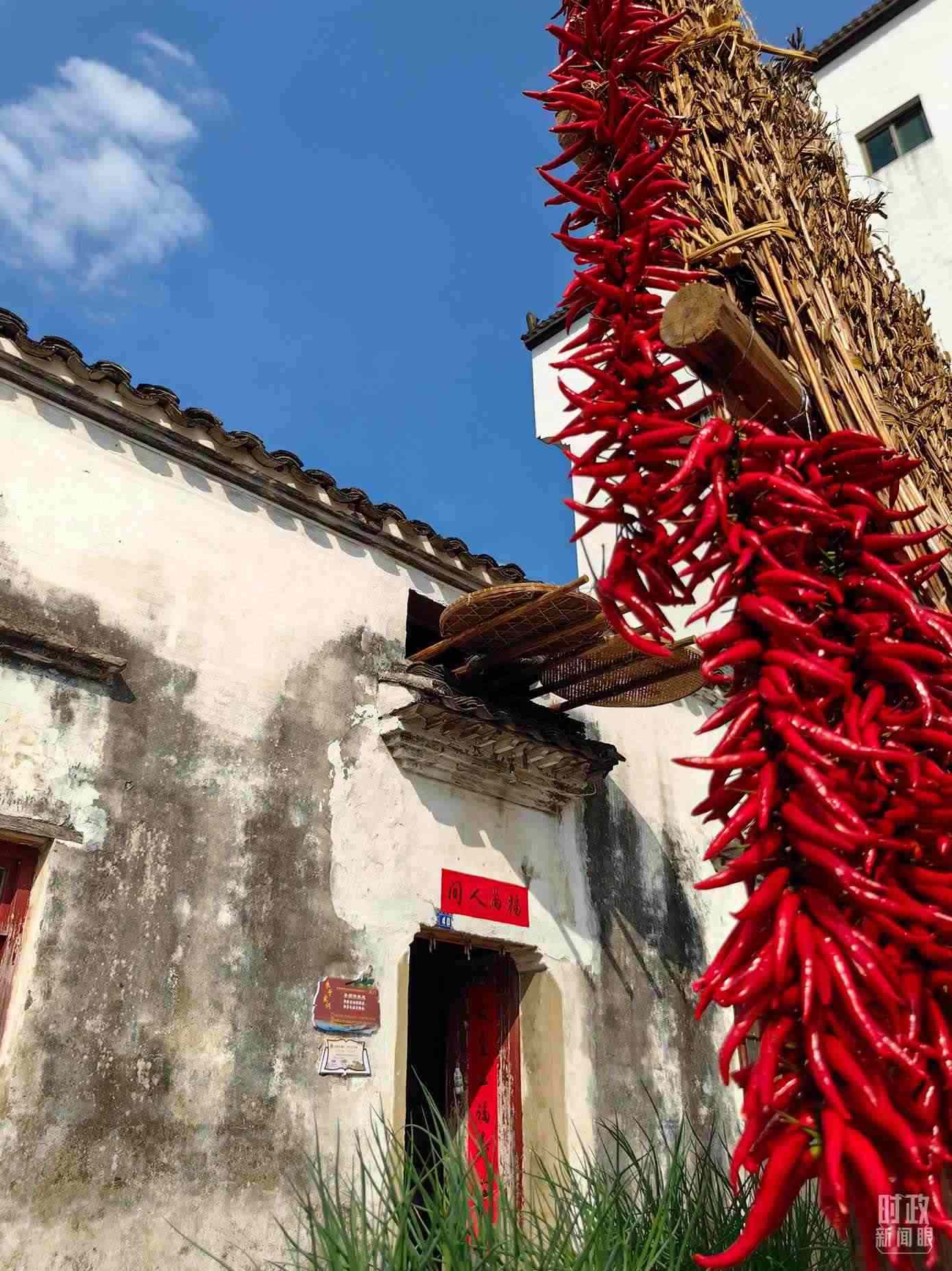 △石門村農家晾曬的辣椒。（總臺央視記者段德文拍攝）