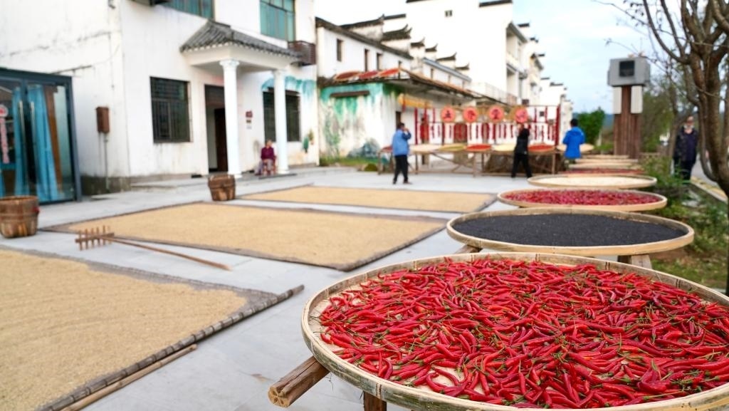近日拍攝的江西省上饒市婺源縣秋口鎮(zhèn)王村石門自然村。新華社記者 胡晨歡 攝