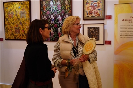 游客觀賞。布達(dá)佩斯中國文化中心供圖