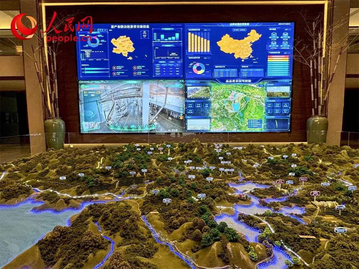 品品香白茶產(chǎn)業(yè)園信息中心數(shù)智化大屏。人民網(wǎng)記者 劉微攝