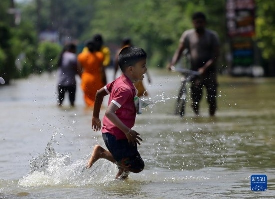 11月24日，一名男孩在斯里蘭卡加姆珀哈涉水出行。新華社發(fā)（阿吉特·佩雷拉攝）