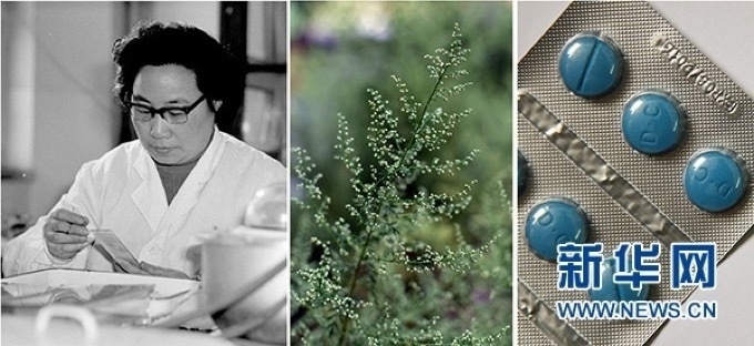 屠呦呦、青蒿和抗瘧疾成藥（拼版資料照片）