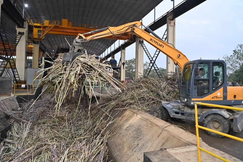 12月14日，在廣西來賓東糖鳳凰有限公司，員工操作機械將甘蔗投入傳送帶，準(zhǔn)備送往壓榨車間。