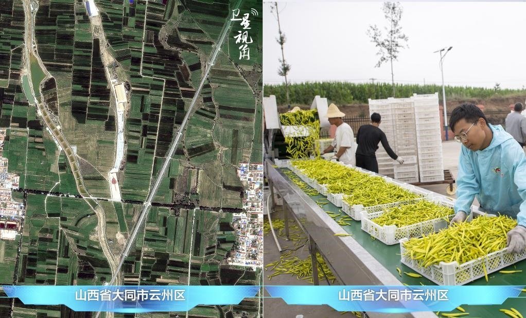 當(dāng)前，大同市開(kāi)發(fā)黃花菜品、食品、飲品、功能食品、化妝品、文創(chuàng)產(chǎn)品六大系列130余種，全產(chǎn)業(yè)鏈產(chǎn)值超40億元。