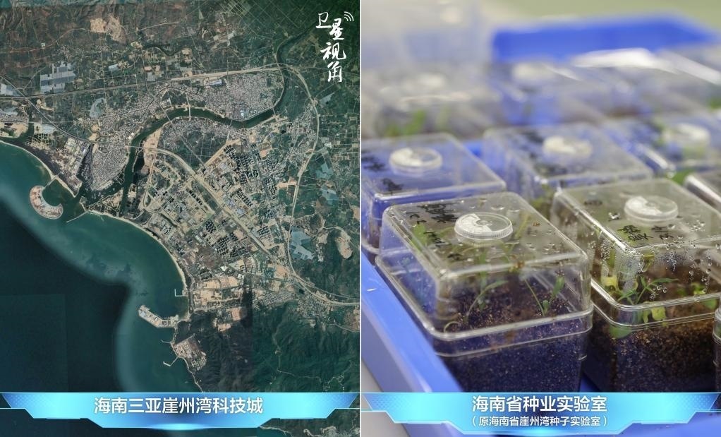 位于三亞崖州灣科技城的海南省種業(yè)實(shí)驗(yàn)室（原海南省崖州灣種子實(shí)驗(yàn)室）將形成輻射全國(guó)和“一帶一路”沿線國(guó)家的種子科學(xué)技術(shù)創(chuàng)新中心。