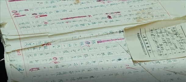 曲波《林海雪原》手稿。主辦方供圖