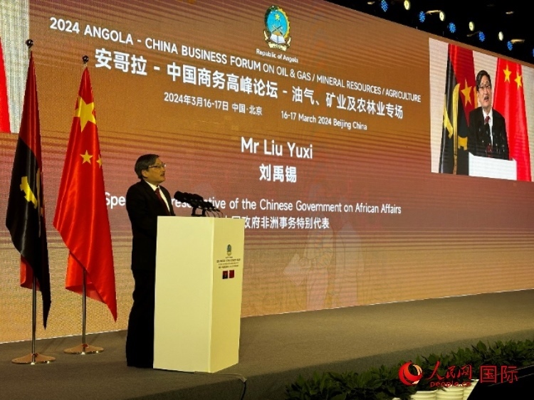 中國政府非洲事務(wù)特別代表劉禹錫。人民網(wǎng)記者 張榮攝