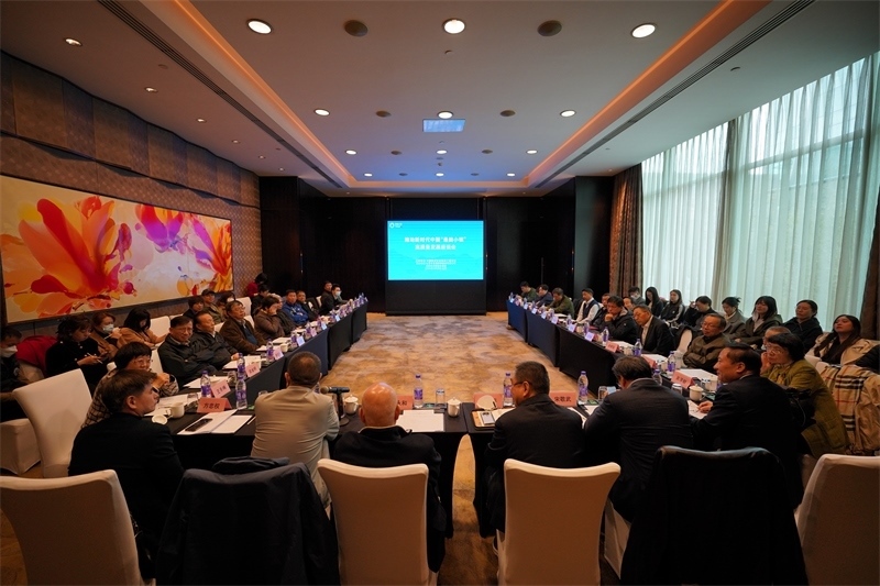座談會現場。主辦方供圖