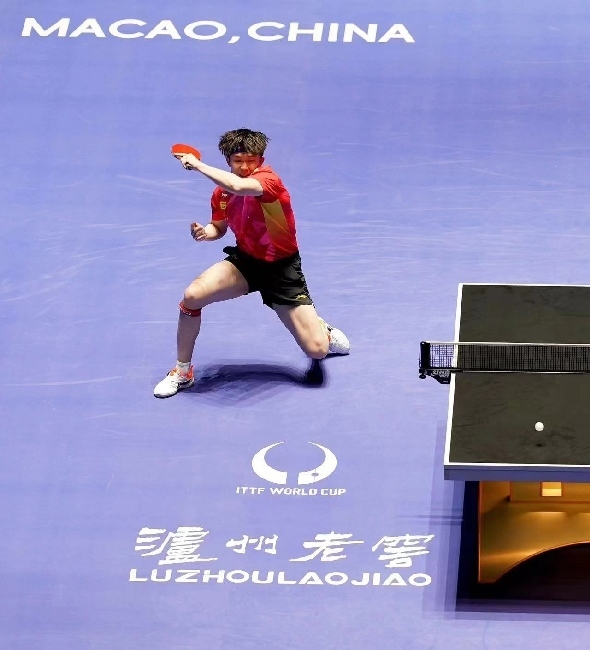 王楚欽在比賽中。賽事方供圖