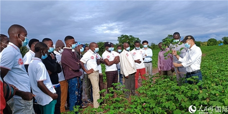 項目組長首小勇向當?shù)孛揶r(nóng)做技術(shù)講解。人民網(wǎng)記者 黃培昭攝