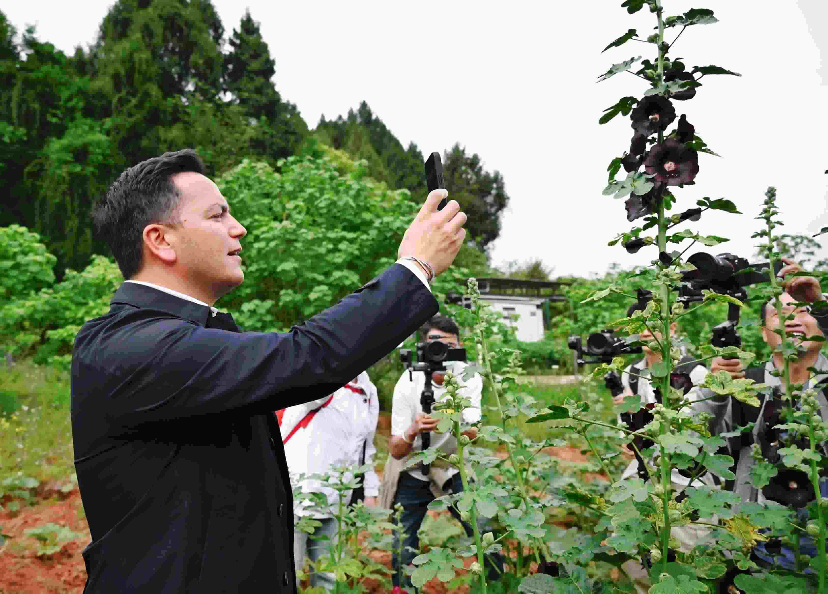  △2024年4月23日，國際園藝生產(chǎn)者協(xié)會主席萊昂納多·卡皮塔尼奧在成都市金堂縣鮮花山谷景區(qū)考察蜀葵產(chǎn)業(yè)。