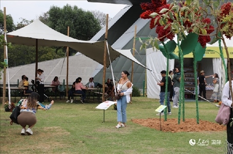 坎波·馬特活動(dòng)現(xiàn)場(chǎng)。埃內(nèi)斯托·多明戈斯攝