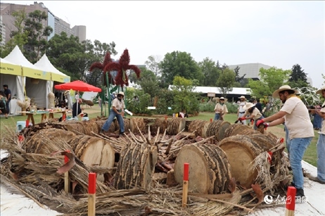 坎波·馬特活動(dòng)現(xiàn)場(chǎng)。埃內(nèi)斯托·多明戈斯攝