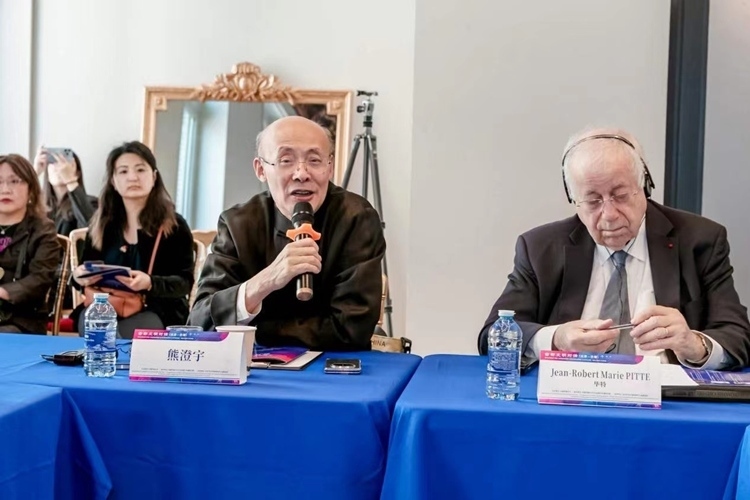 中國(guó)傳媒大學(xué)文化發(fā)展與傳播研究院院長(zhǎng)熊澄宇教授發(fā)言（圖片：中國(guó)傳媒大學(xué)