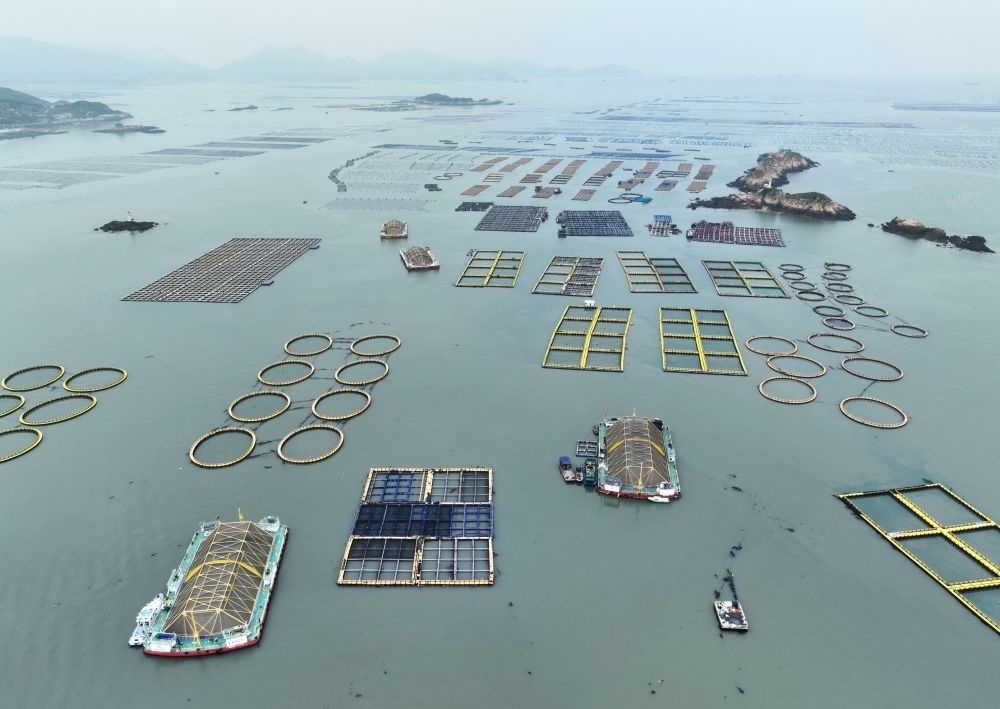 在福建連江定海灣海域，坐落著“定海灣1號(hào)”“定海灣2號(hào)”等深遠(yuǎn)海養(yǎng)殖平臺(tái)（2024年5月7日攝，無(wú)人機(jī)照片）。新華社記者 林善傳 攝