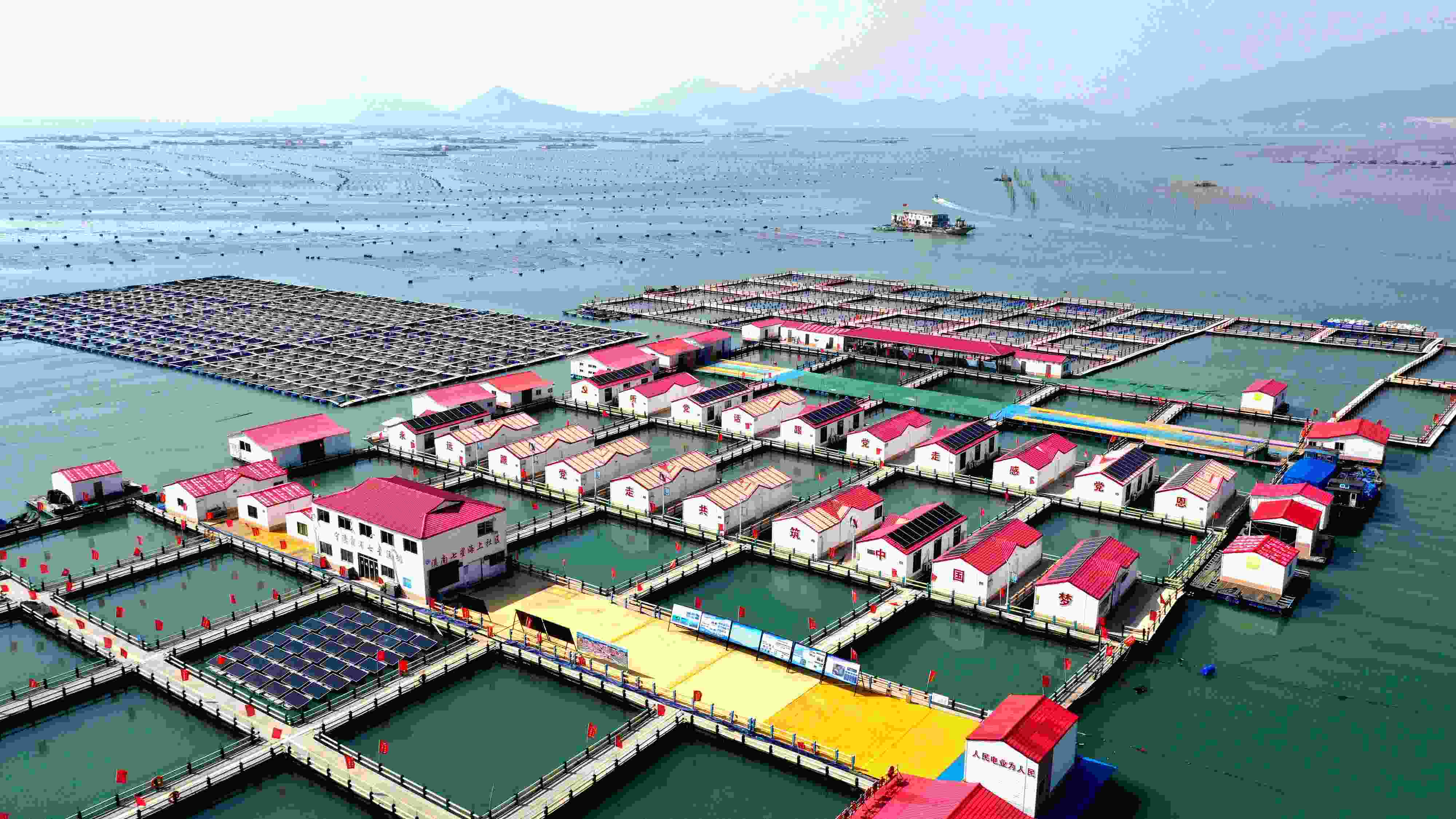 2024年3月20日，福建省寧德市，霞浦縣溪南鎮(zhèn)七星村漁排養(yǎng)殖示范區(qū)，漁民駕駛養(yǎng)殖船進行海參養(yǎng)殖作業(yè)。