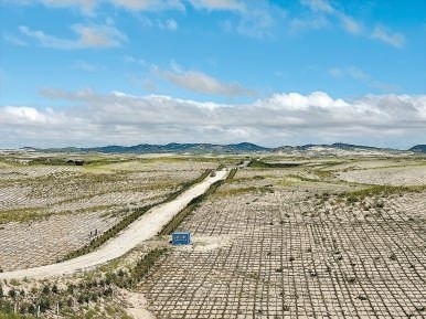 剛剛竣工的其白線穿沙公路。