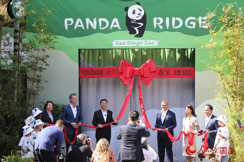 1、中國駐美國大使謝鋒、加州州長紐森、圣迭戈市市長格洛利亞等人共同為“熊貓嶺”開館剪彩。 人民網(wǎng)記者 李志偉攝