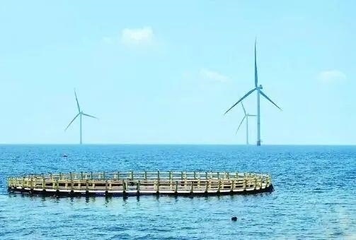 △山東萊州風(fēng)電項(xiàng)目實(shí)現(xiàn)了海上風(fēng)電和海洋牧場(chǎng)融合發(fā)展。