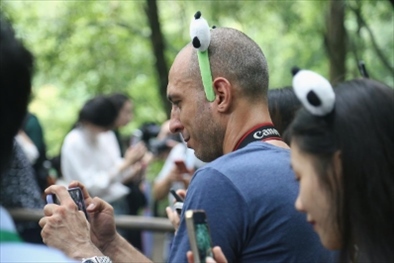 俄羅斯《俄羅斯報(bào)》視覺內(nèi)容編輯阿爾圖爾·杰魯諾夫在拍攝熊貓。（李佩藺 攝）