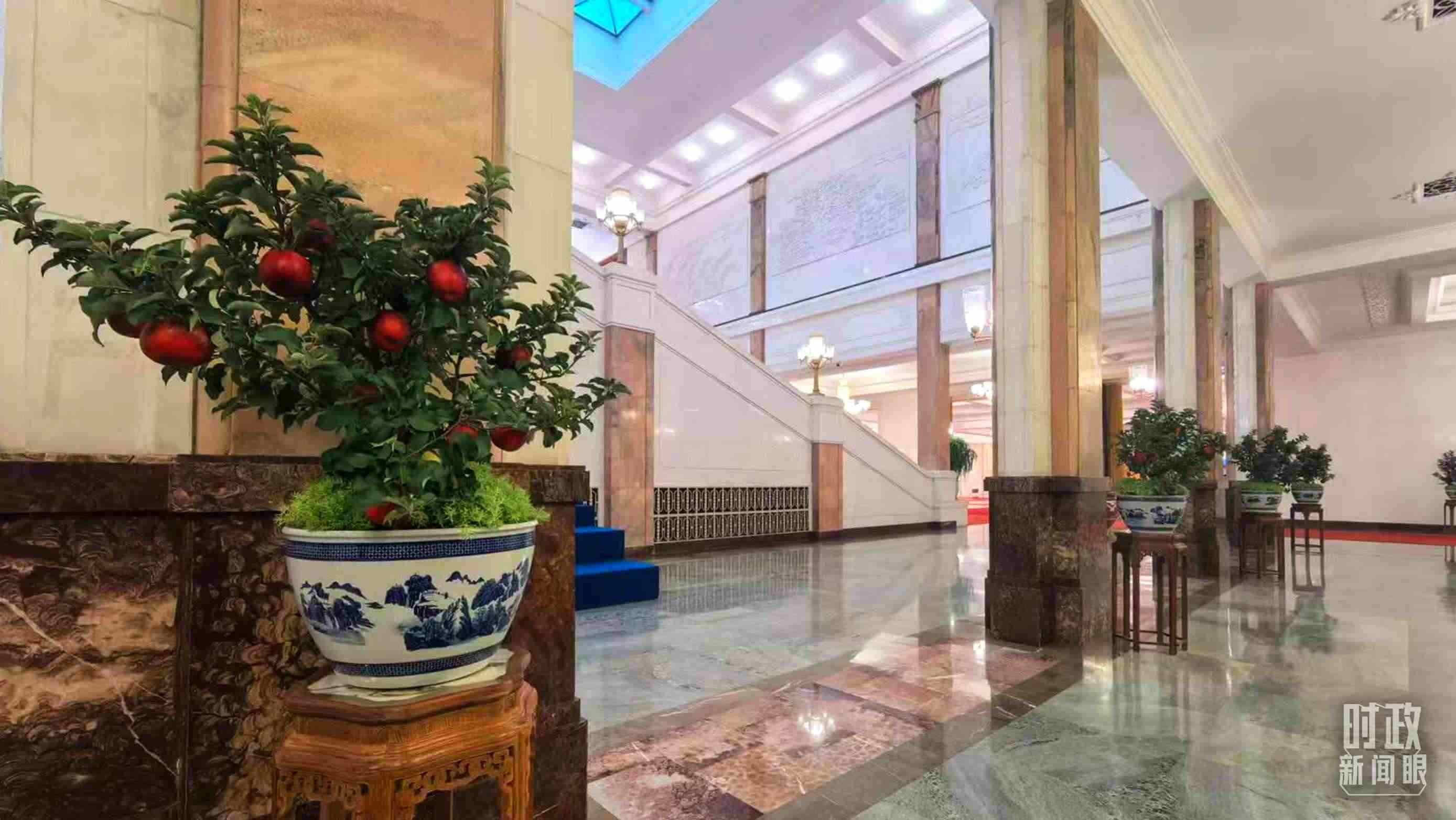  △大會堂內(nèi)的“碩果累累”盆栽。（總臺國廣記者吳倩拍攝）