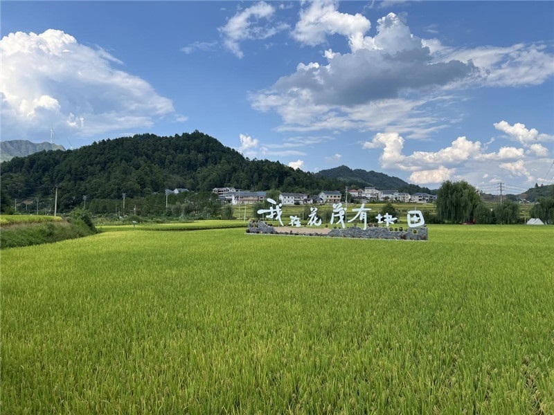 青瓦白磚的黔北民居、風(fēng)中搖曳的稻田、抬手可觸的大片云朵……才剛下車(chē)，格魯吉亞“經(jīng)濟(jì)中心網(wǎng)”總編輯莉安娜·喬爾喬利亞尼就被眼前的景色拖住了步履，喃喃細(xì)語(yǔ)：“實(shí)在太美了，讓我內(nèi)心平靜，在這里生活一定非常安逸和幸福?！保ㄇ褫x攝）