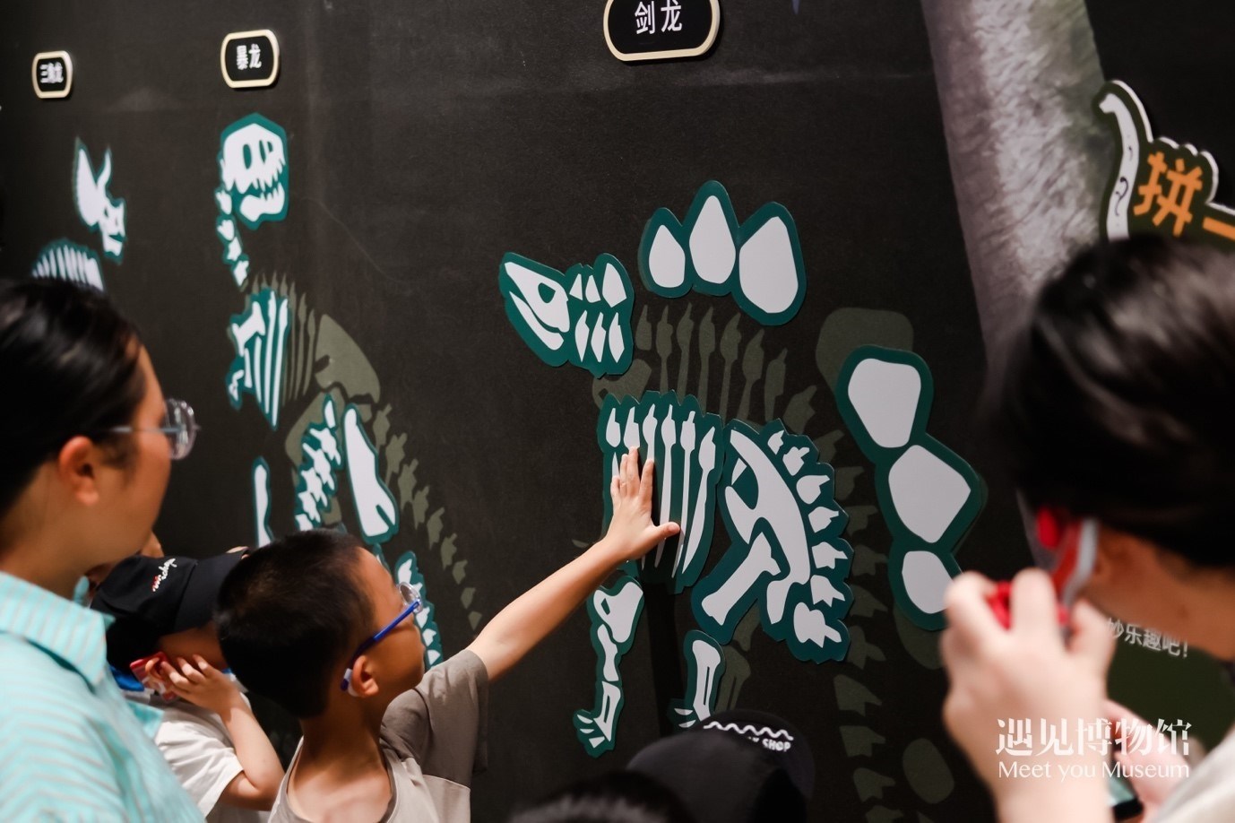 5. “2億年的地球記憶——恐龍化石特展”互動區(qū)域。遇見博物館供圖
