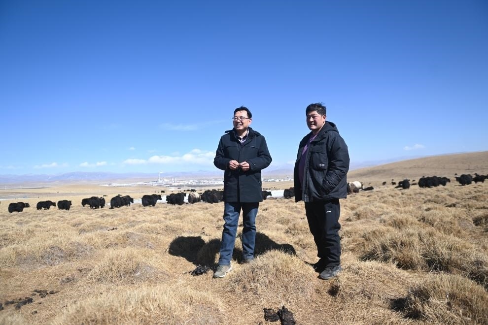2023年2月24日，在青海省海北藏族自治州海晏縣青海湖鄉(xiāng)達(dá)玉日秀村，全國人大代表董全民（左）查看牧民東知布家的草場。新華社記者 張龍 攝