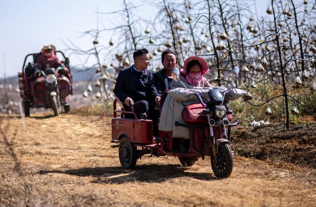 全國人大代表袁海波（右三）在云南省曲靖市馬龍區(qū)一種植基地了解務(wù)工人員就業(yè)需求（2023年2月11日攝）。新華社記者 江文耀 攝