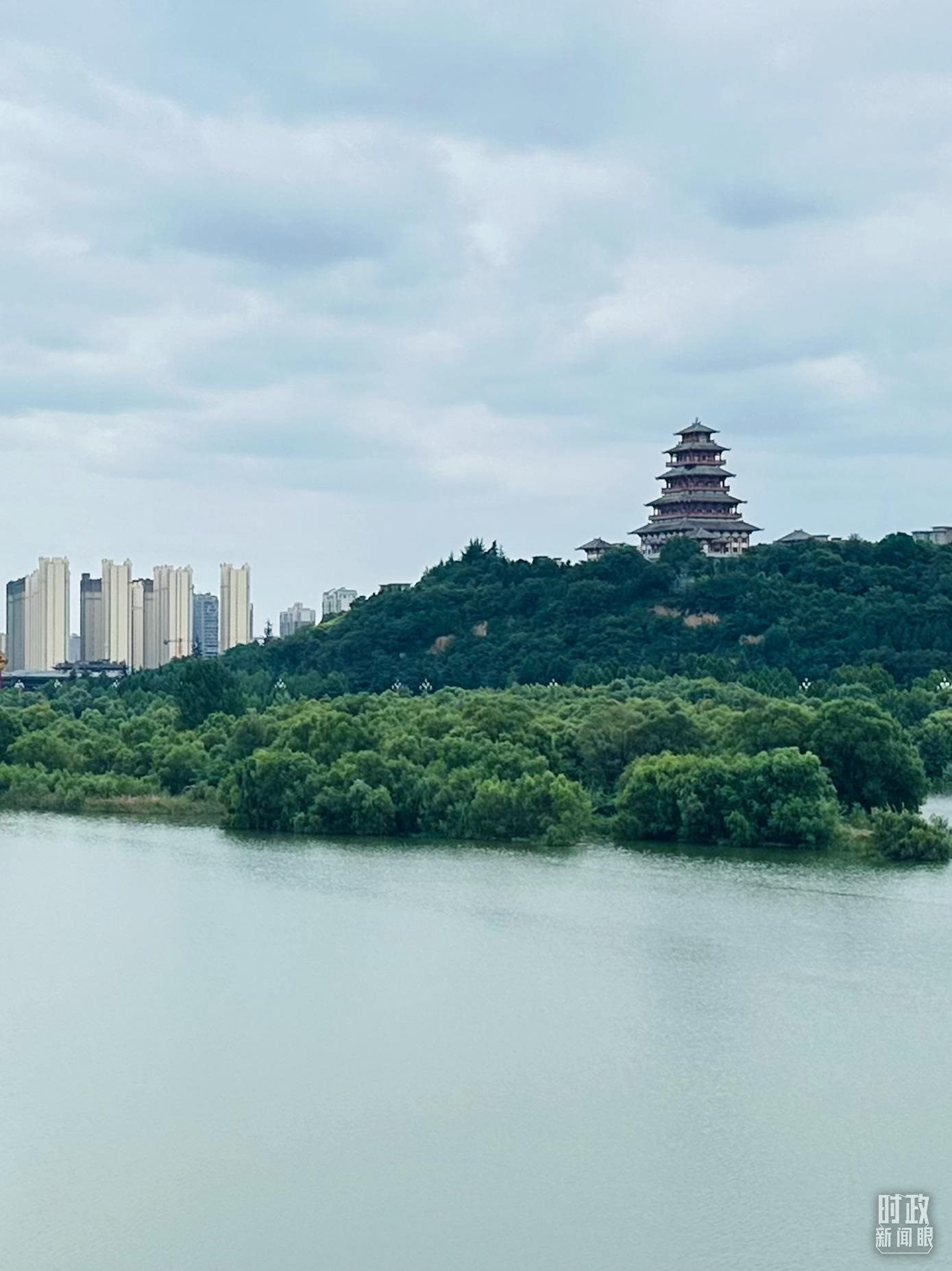 △渭河寶雞段長(zhǎng)224公里，目前建成17處渭河灘區(qū)生態(tài)涵養(yǎng)區(qū)。（總臺(tái)央視記者范一鳴拍攝）