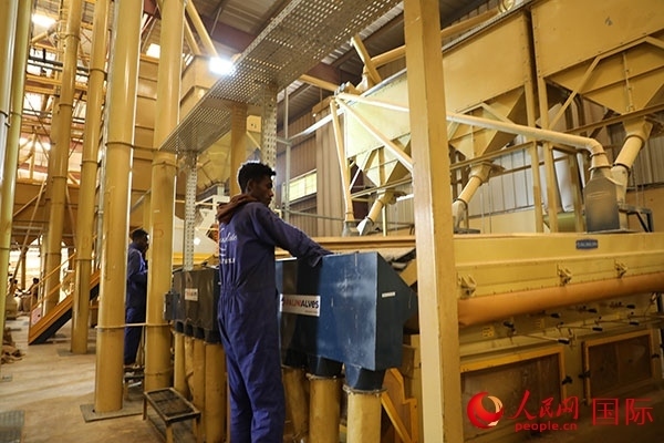 在Bule Hora咖啡加工廠里工作的當(dāng)?shù)毓と藗?。人民網(wǎng)記者 沈小曉攝