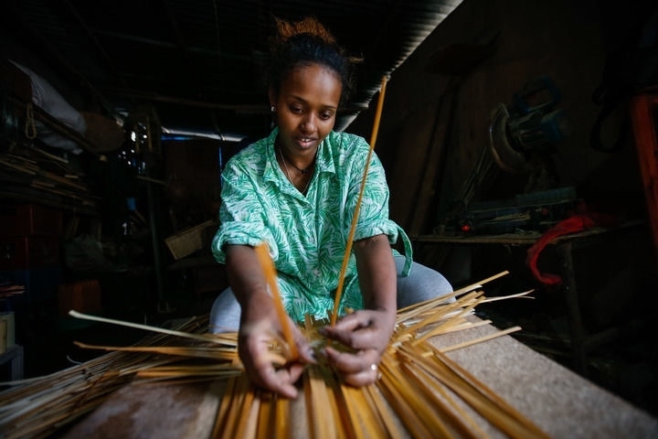 2024年8月10日，菲基爾特·加布雷在埃塞俄比亞首都亞的斯亞貝巴名為“綠色金子”的竹藤工作室里加工竹制產品。新華社發(fā)（邁克爾·特韋爾德 攝）