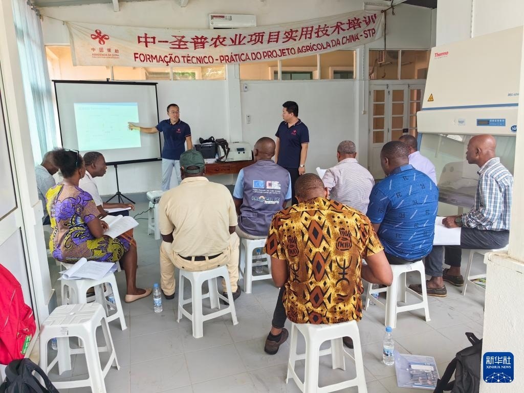 中國援圣普農(nóng)牧業(yè)技術(shù)項(xiàng)目組專家段振華（后左）在圣多美和普林西比的國家獸醫(yī)實(shí)驗(yàn)室開展動(dòng)物疫病監(jiān)測技術(shù)培訓(xùn)（2024年6月21日攝）。新華社發(fā)（中國援圣普農(nóng)技組供圖）