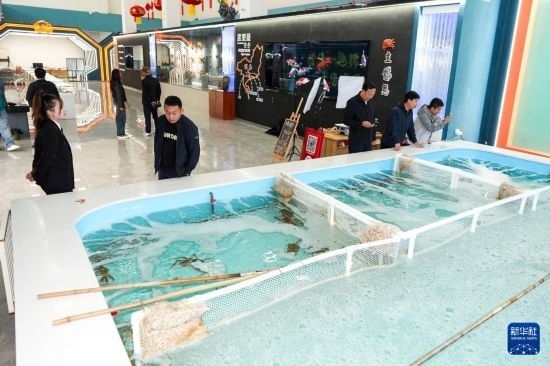 9月20日，游客在吉林省琿春市的帝王蟹保稅店內(nèi)選購(gòu)帝王蟹。新華社記者 許暢 攝