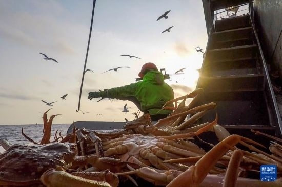 這是俄羅斯蟹業(yè)集團(tuán)工作人員進(jìn)行遠(yuǎn)洋捕撈的資料照片。新華社發(fā)（俄羅斯蟹業(yè)集團(tuán)供圖）