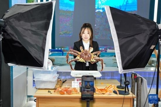 9月20日，在吉林省琿春市的帝王蟹保稅店內(nèi)，工作人員進(jìn)行網(wǎng)絡(luò)直播售賣(mài)帝王蟹。新華社記者 許暢 攝