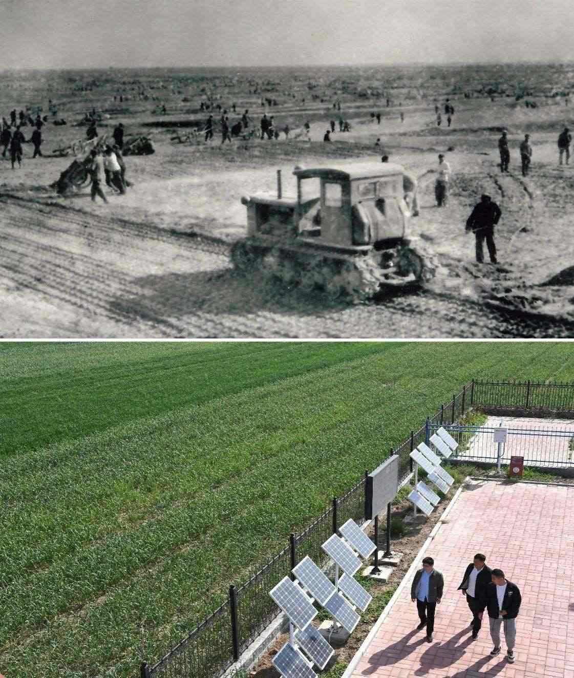 上圖為二十世紀(jì)六十年代蘭考改造鹽堿地的情景（資料照片）；下圖為2024年4月18日拍攝的蘭考縣紅廟鎮(zhèn)高標(biāo)準(zhǔn)農(nóng)田示范區(qū)。（新華社記者 朱祥 攝）