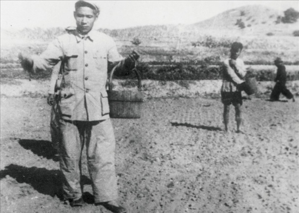 △ 谷文昌在福建省東山縣坑北村參加播種。