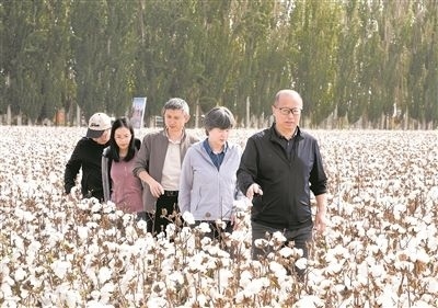 李召虎團(tuán)隊成員在棉田了解試驗情況。 受訪單位供圖