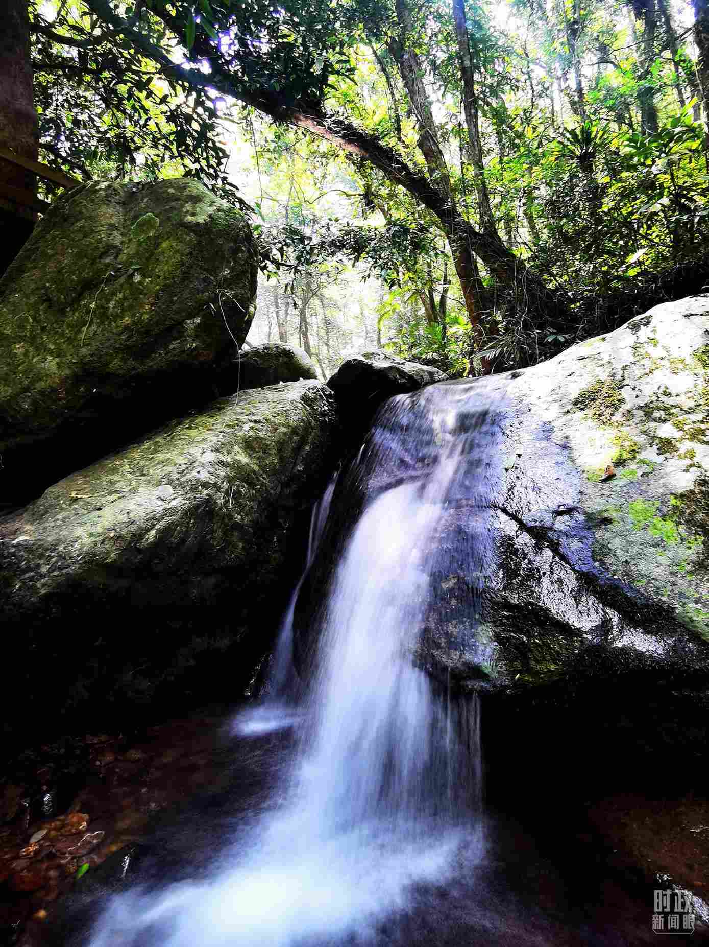 海南五指山。（總臺央視記者劉琦拍攝）