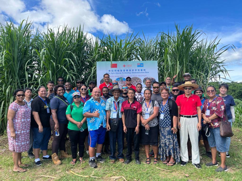 2024年2月28日，來自巴布亞新幾內(nèi)亞、湯加、庫(kù)克群島、薩摩亞、瑙魯?shù)葒?guó)家的“太平洋島國(guó)菌草技術(shù)培訓(xùn)班”學(xué)員在斐濟(jì)布拉阿格魯菌草技術(shù)示范基地合影。新華社發(fā)（中國(guó)援斐濟(jì)菌草技術(shù)示范中心供圖）