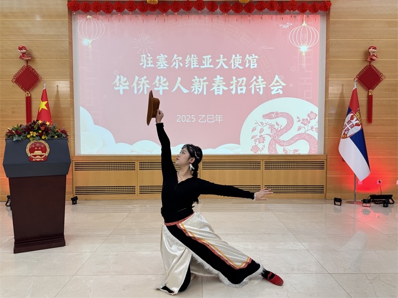 招待會現(xiàn)場表演。諾維薩德孔子學(xué)院供圖