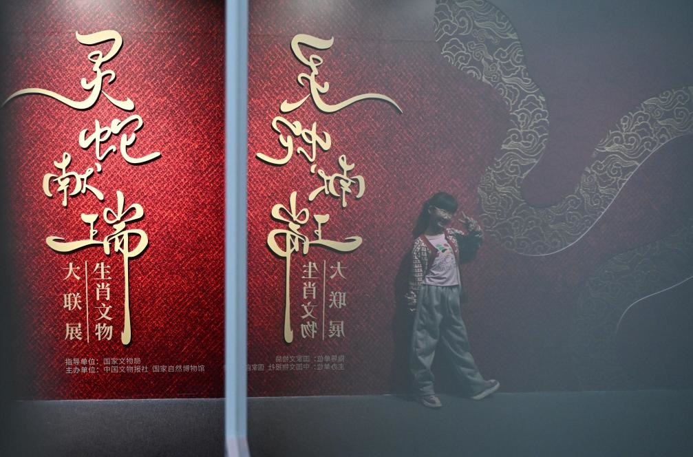1月18日，一名小朋友在國(guó)家自然博物館舉辦的“靈蛇獻(xiàn)瑞——2025乙巳蛇年生肖文物大聯(lián)展”展覽中拍照留念。（新華社記者 陳鐘昊 攝）