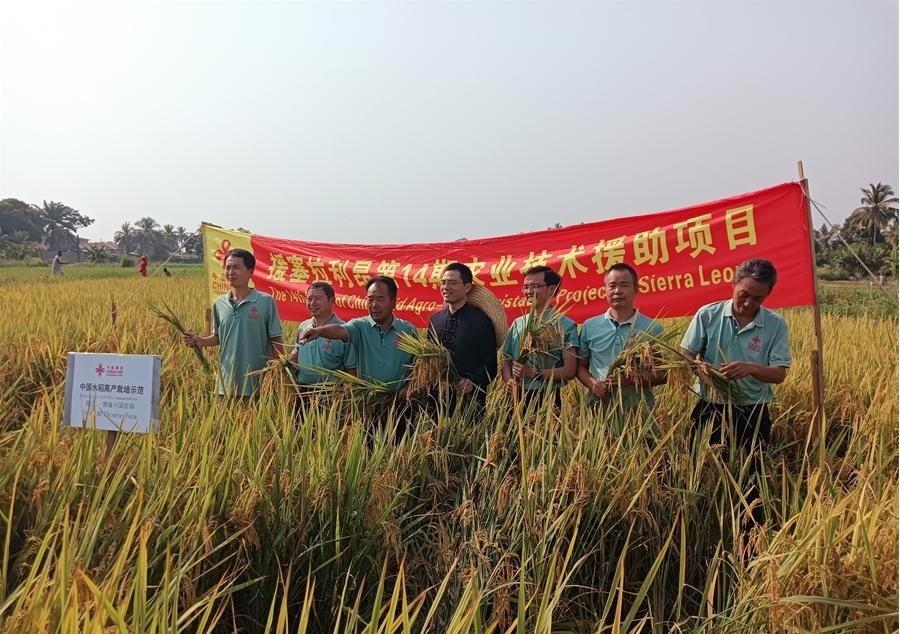 中國駐塞拉利昂大使王擎和援塞農(nóng)業(yè)專家組合影。中國援塞農(nóng)業(yè)專家組供圖