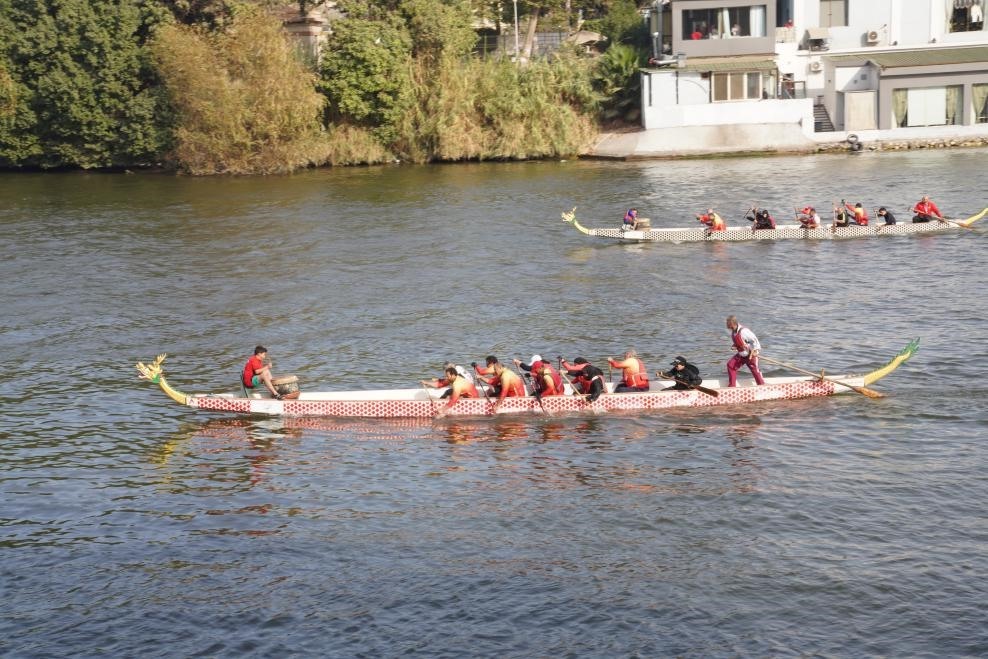 活動現(xiàn)場龍舟競技，共慶春節(jié)。開羅中國文化中心供圖