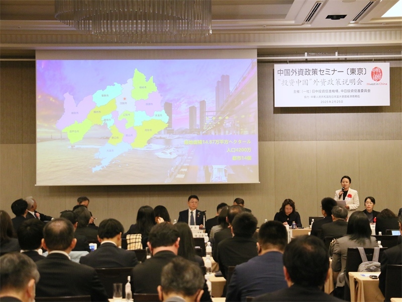 地方代表進(jìn)行專題投資推介。人民網(wǎng) 許可攝