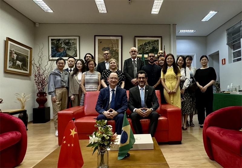 圖為參加座談會(huì)的來賓合影留念。 圣保羅州立大學(xué)孔子學(xué)院供圖