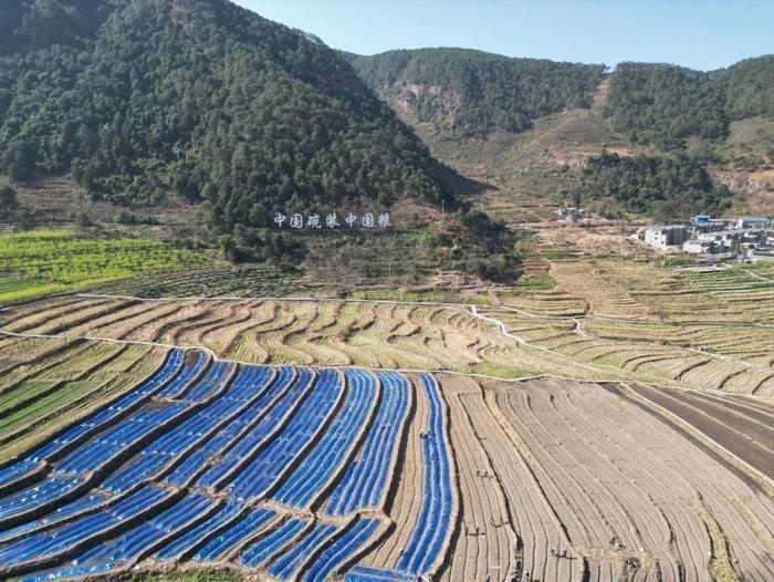 △近日，四川涼山一現(xiàn)代農(nóng)業(yè)園春耕育秧搶農(nóng)時。