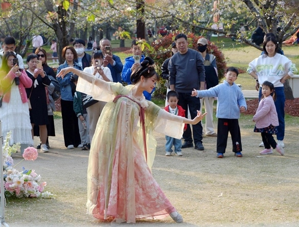 清明假期期間，上海顧村公園櫻花島上，游客在觀賞國風(fēng)漢服快閃表演。（圖片來源：視覺中國）